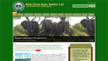Real Great Apes Safaris Ltd.